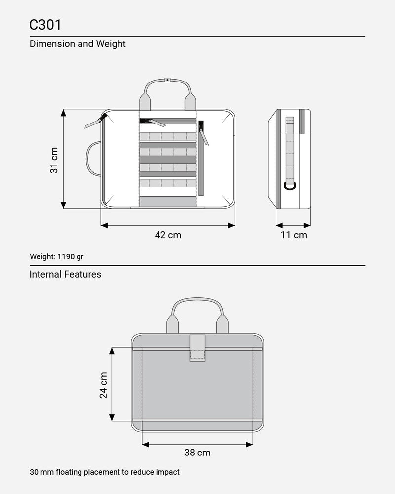C301 The Briefcase