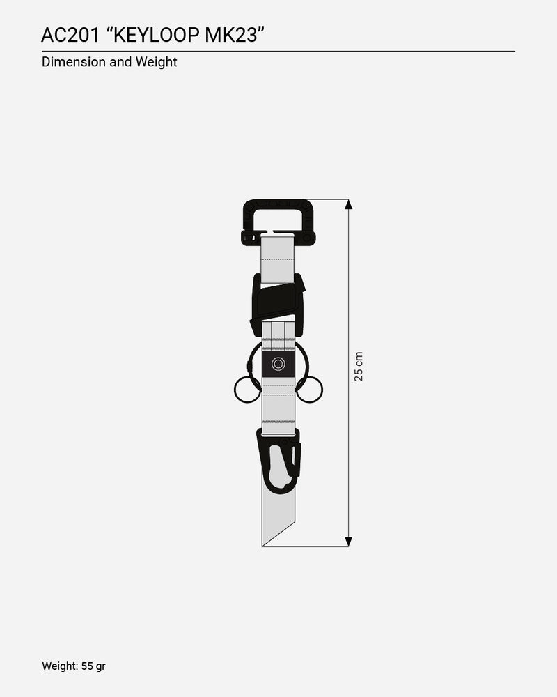 AC201 "KEYLOOP MK23"